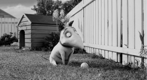 Tim-Burton-2.jpg